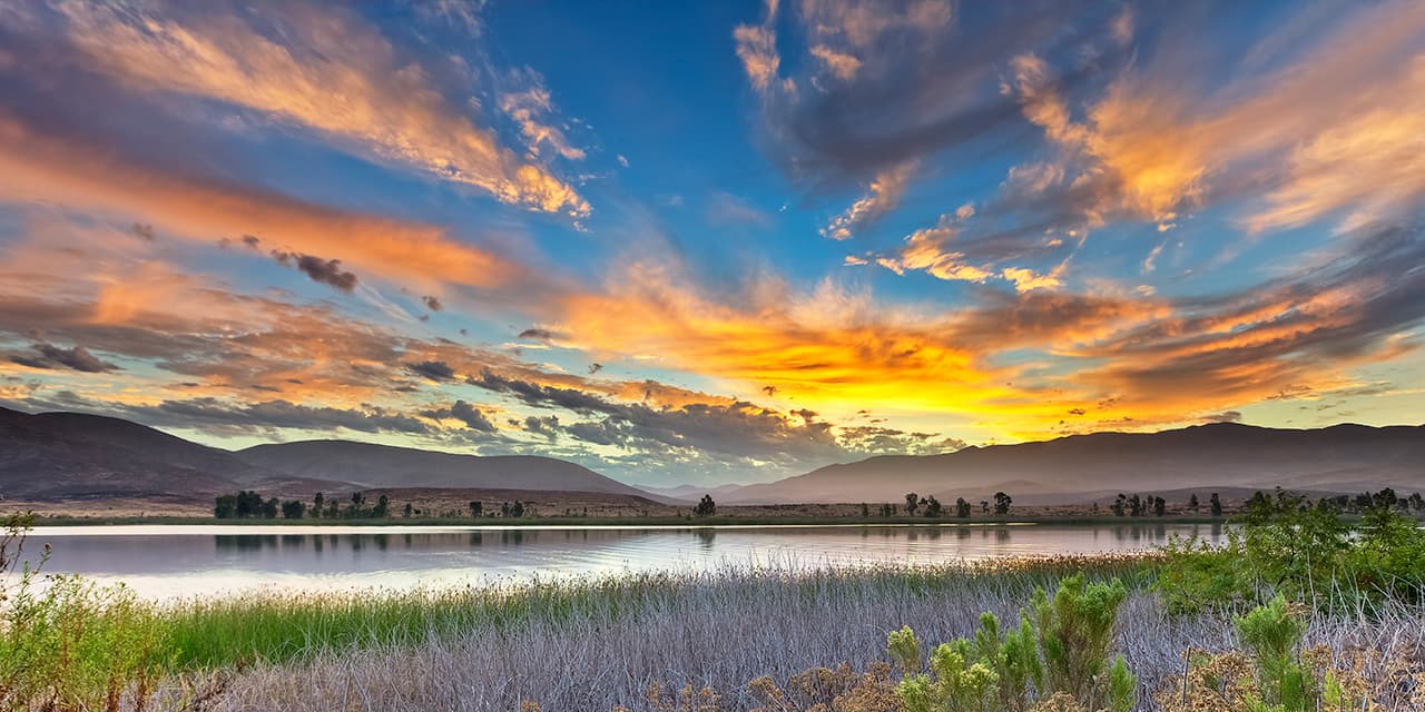 Software Development in Albuquerque