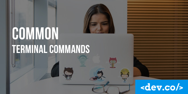 Common Terminal Commands on Mac