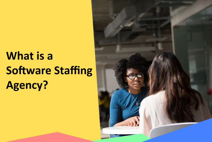 What is a Software Staffing Agency?
