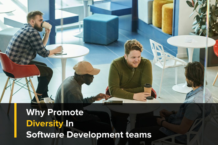 Why Promote Diversity In Software Development teams