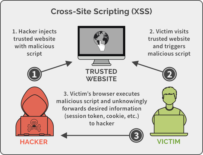 Cross-site scripting (XSS)