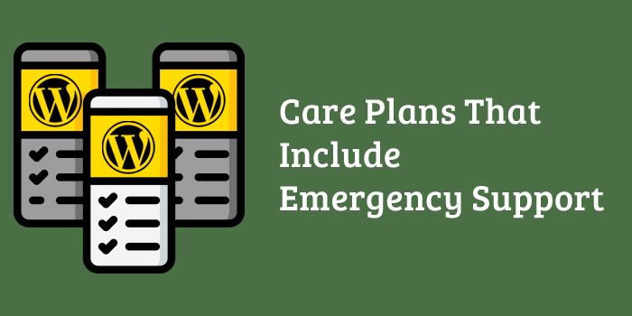 Care Plans That Include Emergency Support