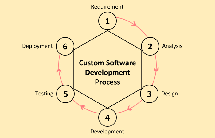 How does the custom software development process work?