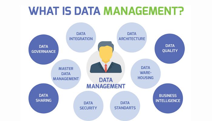 What is Data Management