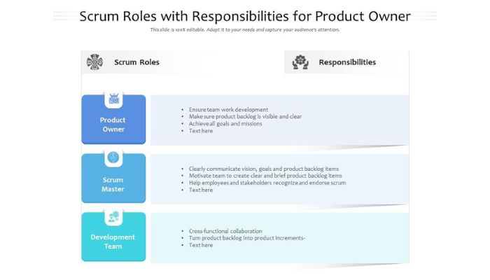Roles and responsibilities for product owner